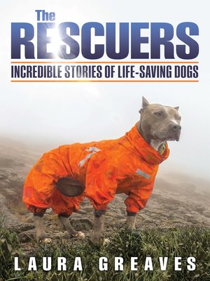 cover image of The Rescuers